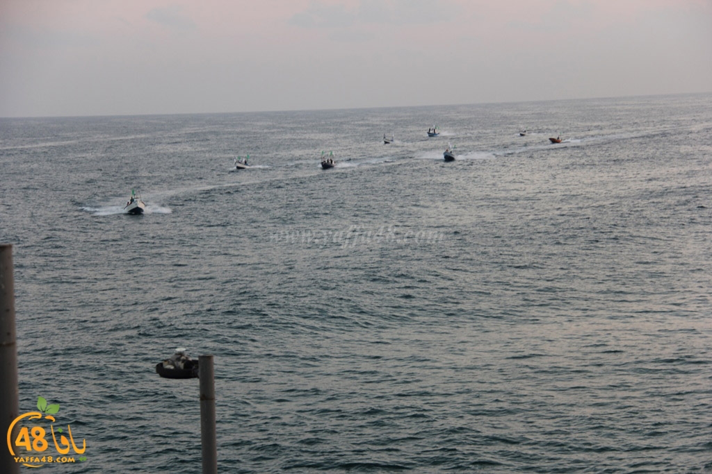 iste3rad sayaden yaffa (12).JPG